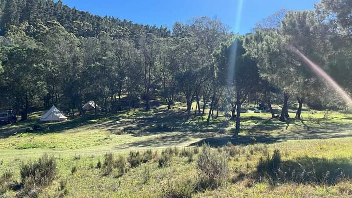 FB_IMG_1659608349642