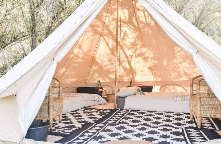 FB_IMG_1659608399979