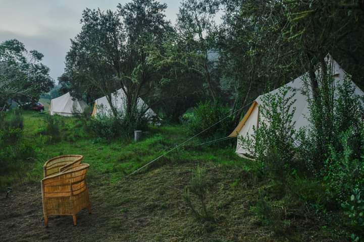 FB_IMG_1659777839048