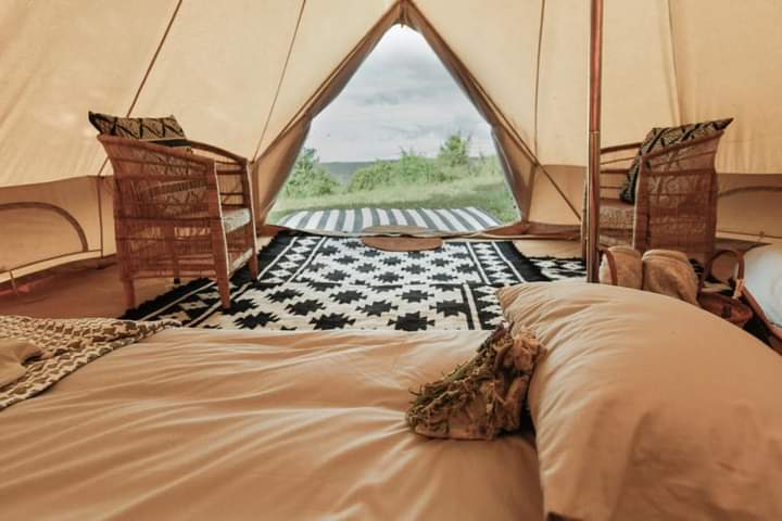 FB_IMG_1659777917589